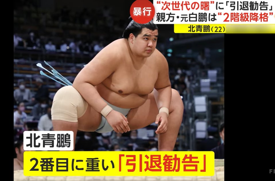 北青鵬
